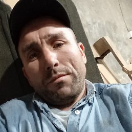 Sasa, �������, 40 ���