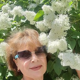 �����, ������, 55 ���