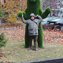 ������, 38 ���, ������