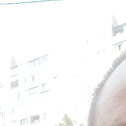 ,  , 51 