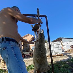 ����, �����������, 50 ���