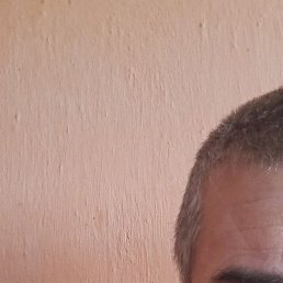 �������, ���������, 46 ���