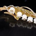 ���� ����, ����������� - ��������� 13 ����� 2025 � ������ ���������λ