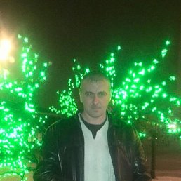 , 46, 