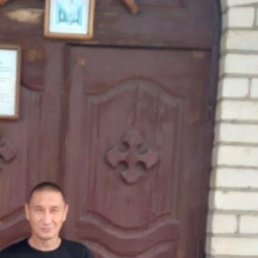 ������, ���������, 46 ���