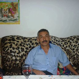 , 59, 