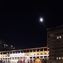 �������� ��� �����, �������� 2024