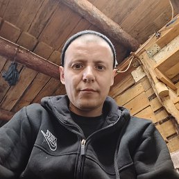 , 41 , 