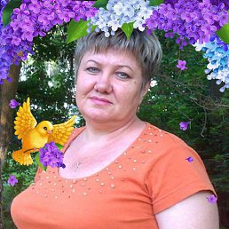 , 61, 