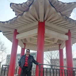 ����������, ������������, 48 ���