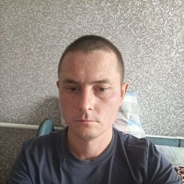 , 31,  