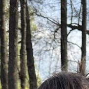 , 32 , 