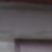 ����, 48 ���, ������