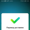 ���� ������� ����������, ����, 31 ��� - ��������� 20 ���� 2024