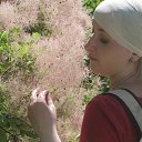 ���� ����, ������, 41 ��� - ��������� 9 ������� 2024 � ������ ���� ����������