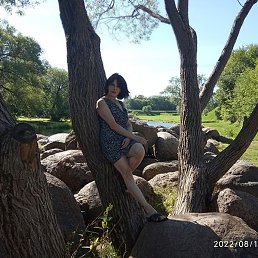 ��������, ������� ��������, 52 ����