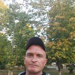 , 43, 