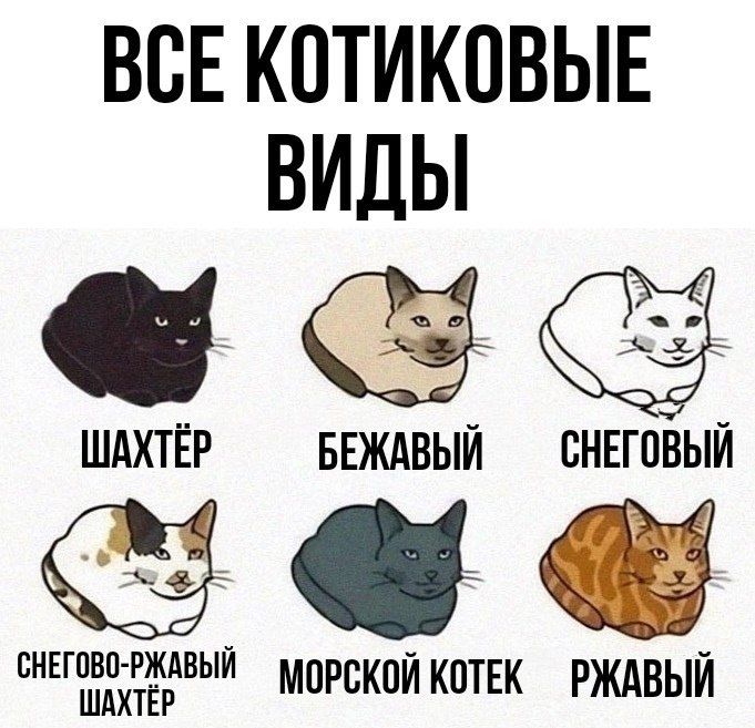 У вас какой?