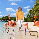 �� ����. ����������.