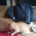 ���� ����� ������, ����� - ��������� 27 ��� 2025 � ������ ������ ��������