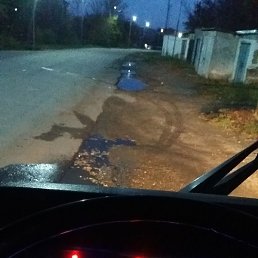 �������, ��������, 49 ���