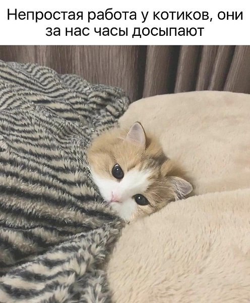 ��� ���� - 27 ������ 2026 � 12:32