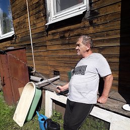 , 61, 