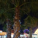���� �����, ���� - ��������� 29 ���� 2026 � ������ ���� ����������