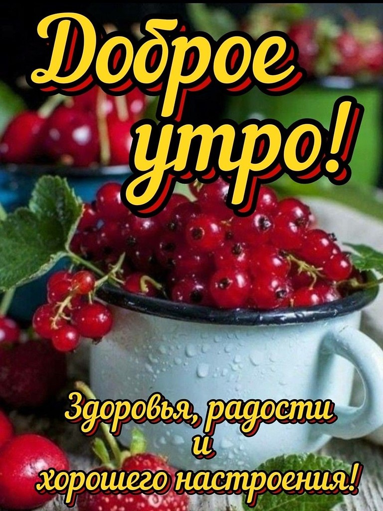   ,    . - 11  2025  06:38