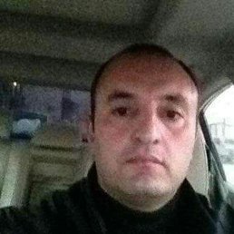 , 50, 