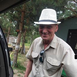 , 56, 