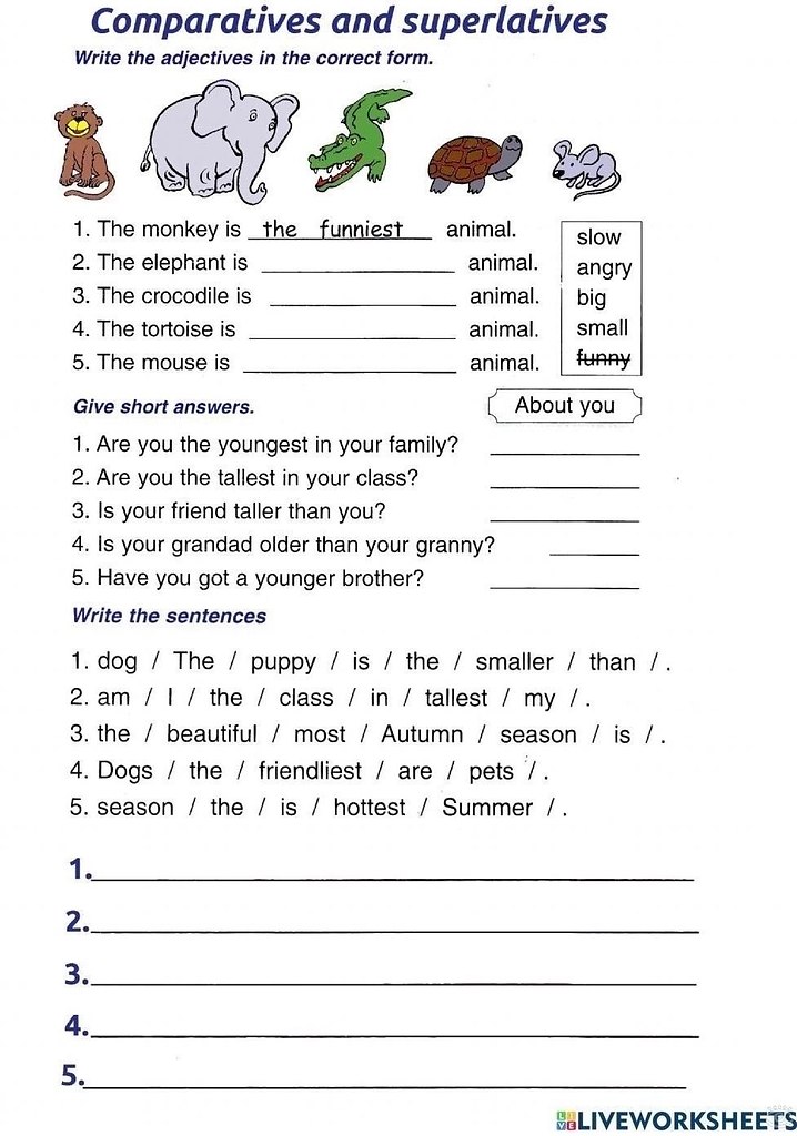 Comparative and superlative adjectives worksheets - 5