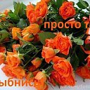 ���� ������, ������� - ��������� 19 ������� 2026 � ������ ���� ����������