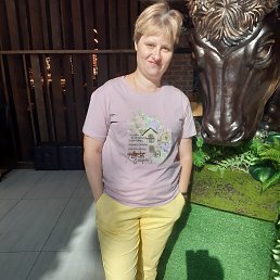 , 43, 