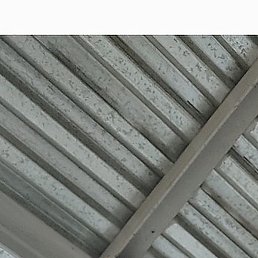 ����, ������, 54 ����