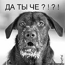 ���� ��������, ������� ������, 71 ��� - ��������� 13 ������ 2025 � ������ ���� ����������