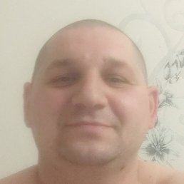 �������, ������, 41 ���