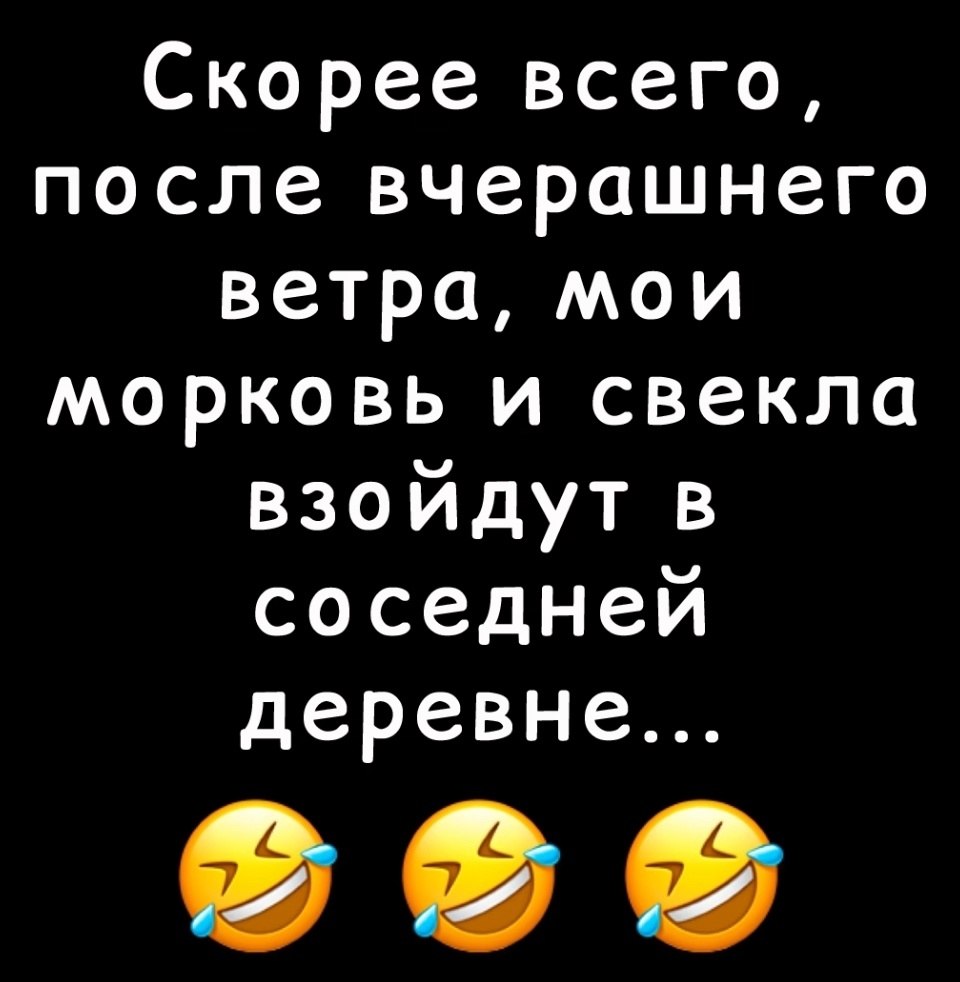  - 19  2025  08:29