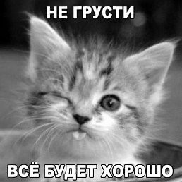 ����, �����������, 40 ���