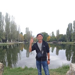 , 41, 