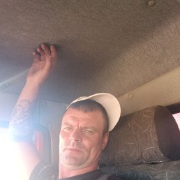  , 41 , 