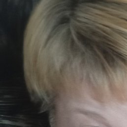 ����, ���������, 48 ���