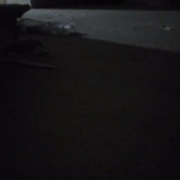 �����, ������, 37 ���