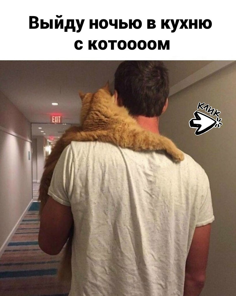 ����... �������?