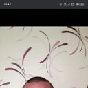 ���� ������, ��������������, 43 ���� - ��������� 6 ��� 2026