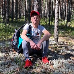 �������, �����-���������, 40 ���