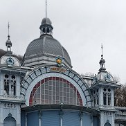 ���������, 46 ���, ��������