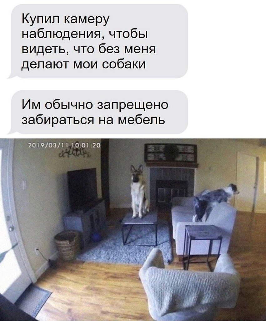    - 21  2024  04:36
