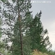 ������, 51 ���, ��������������