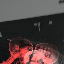 �����, ������������, 20 ���